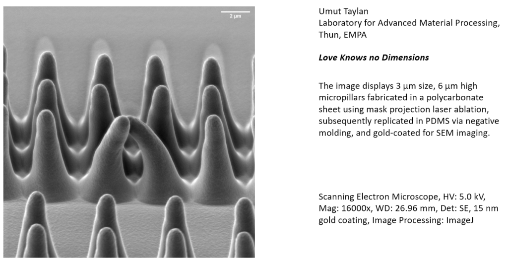 Umat Taylan Image Winner SNC 2025